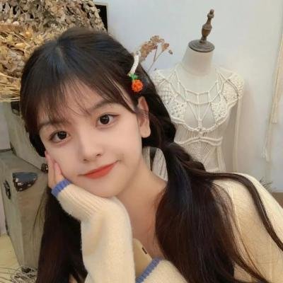 美国豚鼠3:所罗门之歌